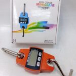 Mini Crane scale 300kg